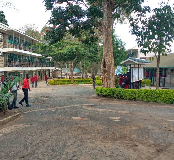 MERU SCHOOL 1